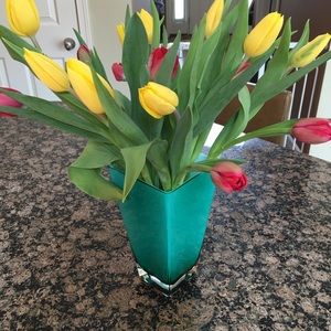 Meet your Posher, Chicposher2020